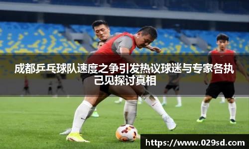 成都乒乓球队速度之争引发热议球迷与专家各执己见探讨真相